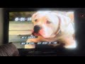 Opening To Herbie Rides Again 1993 VHS