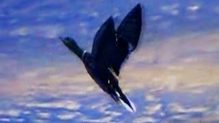 Dutch Interior – Ecig (UK Version)