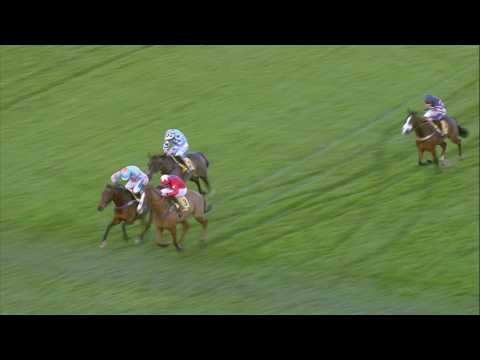2016 Betfair Tingle Creek - Un De Sceaux - Racing TV