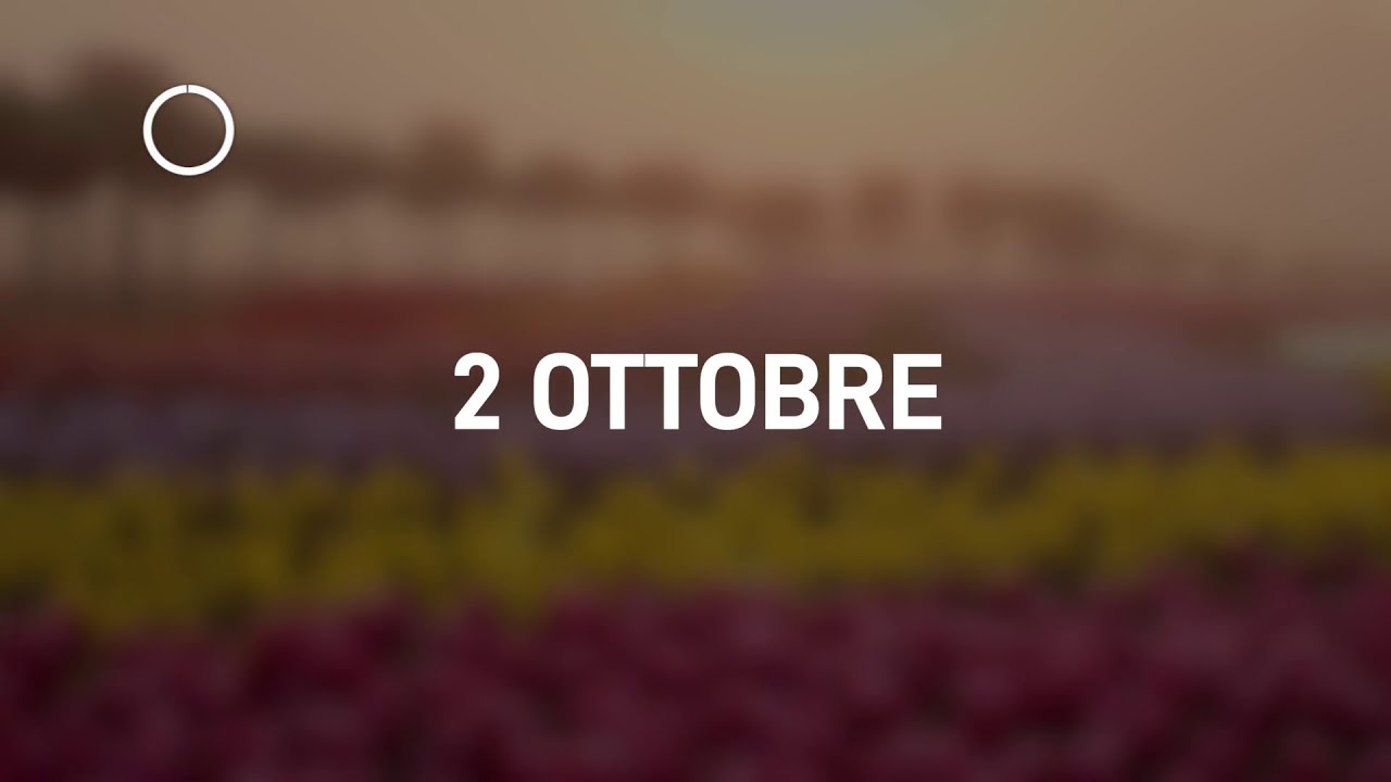 02 Ottobre 2024 | Meditazione Parole di Vita