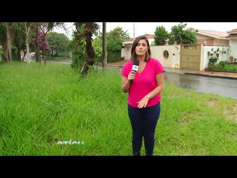 Árvores sem poda e terreno com mato alto preocupam moradores do Centro