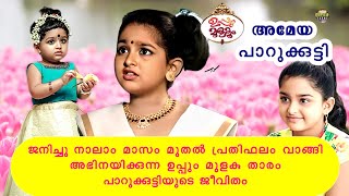 Download lagu The life of Uppum Mulakum Parukutty (Ameya) ❤😍🔥 biography of Ameya Uppum Mulakum mp3