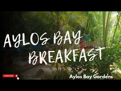 Breakfast from the Aylos Bay Gardens near Akosombo