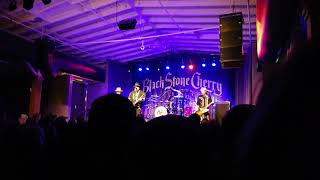 Black Stone Cherry - Carry Me On Down the Road