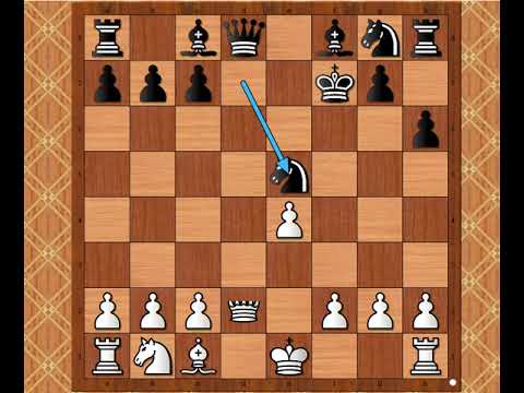 Napad bez milosti na  protivničkog Kralja u šahu 🔶️💥🔷️🟠🔶️ HOROWITZ vs Mac MAURRAY # 2216