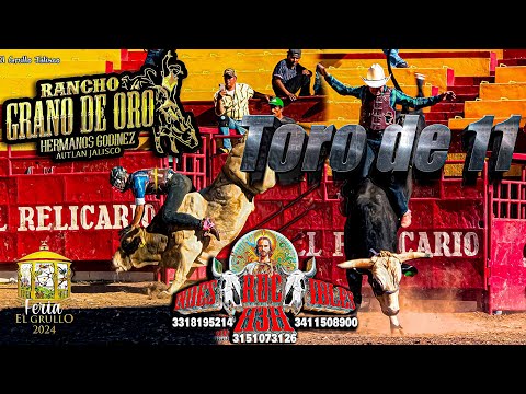 Toro de 11 de Lujo con esta 2 Ganaderías en la Feria del Grullo 2024