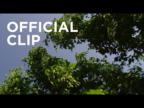 Largest Hop Fields in The World - The Hallertau