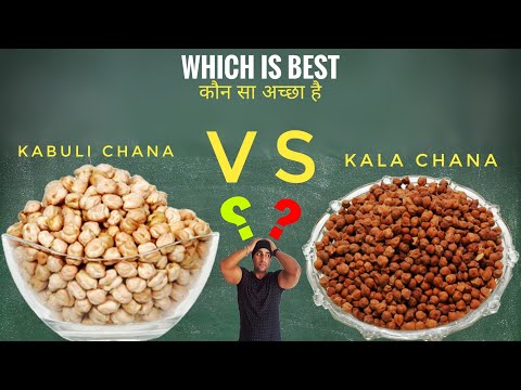 download lagu mp3 mp4 Chana Dal Vs Chickpeas, download lagu Chana Dal Vs Chickpeas gratis, unduh video klip Chana Dal Vs Chickpeas