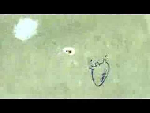 a clip from «Camouflage» by Jonathan Hodgson