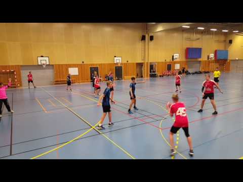 Halmstad-Särökometerna 2017 januari