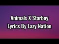 Animals X Starboy Lyrics Lyrics Video Slowed TikTok Remixed