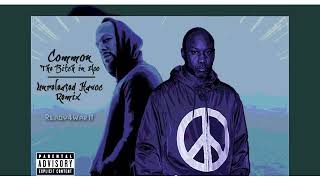 Common - The Bitch in Yoo Unreleased Havoc Remix