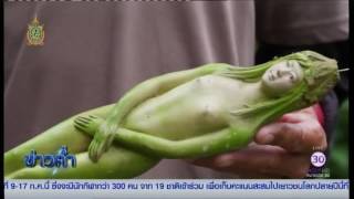 Mystery tree that 'bears fruit in the shape of 'WOMEN' found growing in Thailand [VIDEO]