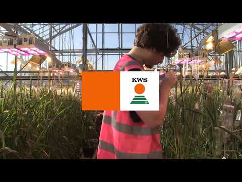 Seeding the future since 1856