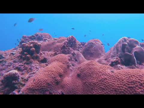 Wondering at Aow Mao, Tanote