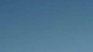 Rupa and the April Fishes &quot;Wishful Thinking&quot;