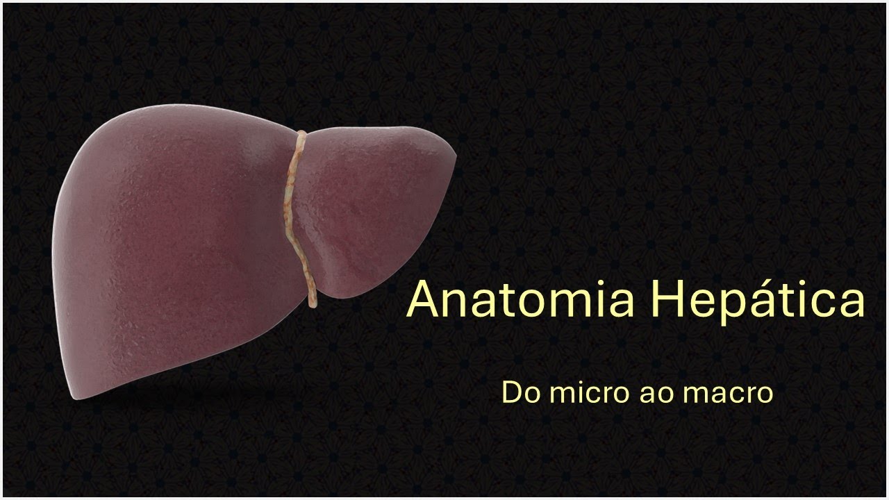 Anatomia hepática