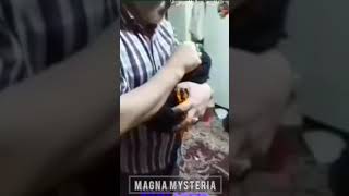 Duende real en Iran.