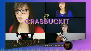 Crabbuckit  - multitrack cover