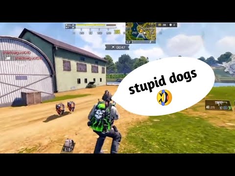 why CoD Narco hate K9 Unit | CoD Narco VS K9 Unit | Narco angry on K9 unit !!! #CODM #COD #FUNNY