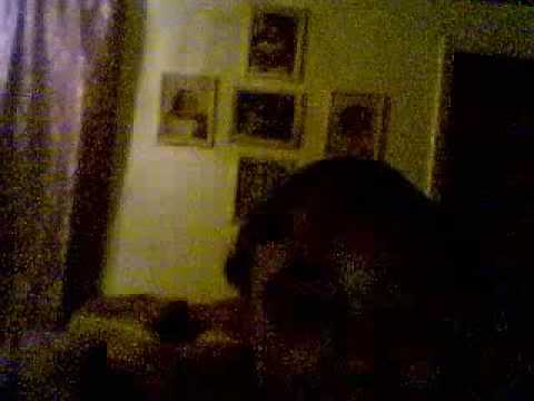 Re: Dominique singing all I could do was cry by Etta James/Beyonce
