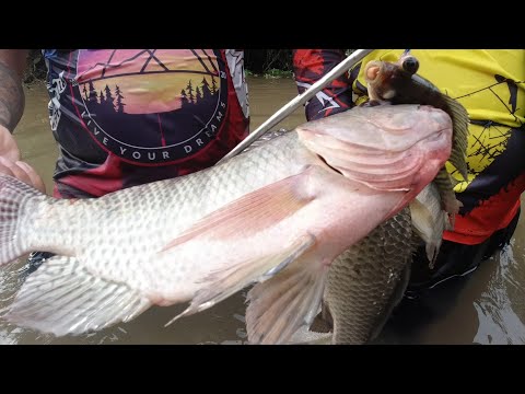 SE03EP164 Part 2 - NAGKA GULATAN NA NAMAN! CAST NET GAMING - Brgy. Callejon, San Antionio Quezon