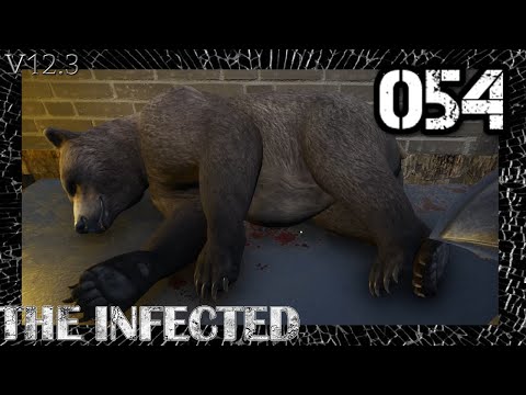 Infected (S7)V12 / 054 - Bären, Metalle und Strom