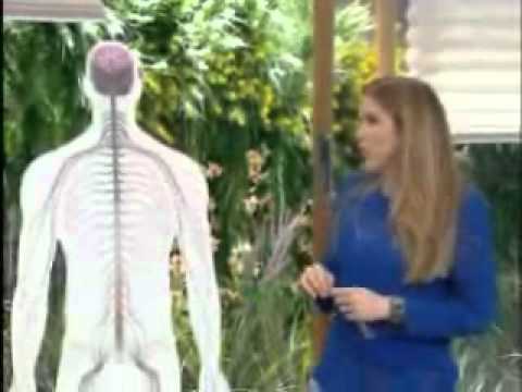 Programa Bem Estar - Dor - 27/10/11 - 1° Parte