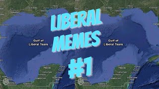 Liberal Memes #1