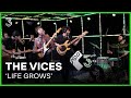 The Vices speelt 'Life Grows' | 3FM Live Box | NPO 3FM