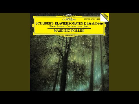 Schubert: Piano Sonata No. 19 in C Minor, D. 958 - IV. Allegro