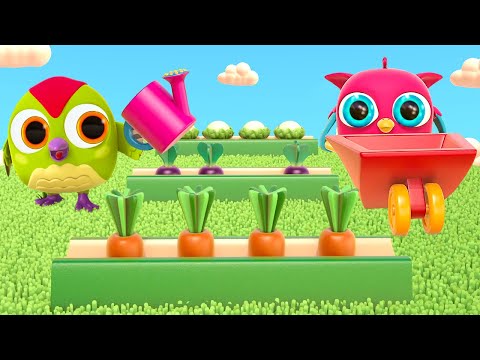 Baykuş Hop Hop, oyunları seven bir kuş! Acaba hangi oyunları seviyor? Çocuk videoları.