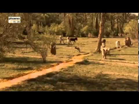 Das Phantom von Uruk   Fahndung nach König Gilgamesch Reportage über ein Phantom Teil 3