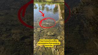 Download lagu SPOTTED A LONG THIN FISH IN THE RIVER ⁉️ #viral #fishing #fishing #shorts mp3