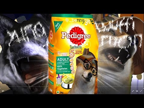 YUNG WUFFIMAN x YUNGMON - 🐶 WauWauWau 🐾(OFFICIAL VIDEO) (Prod.By BruferrBeatz)