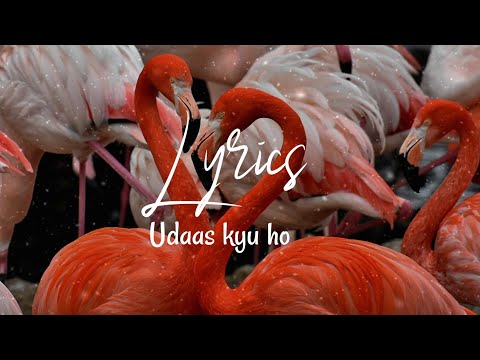 *Lyrics* ▪︎Udaas kyu ho ▪︎ MTA Nazm ▪︎ Recited by Bilal Raja and Mubarak Siddique