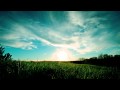 Wovenhand - Singing Grass 
