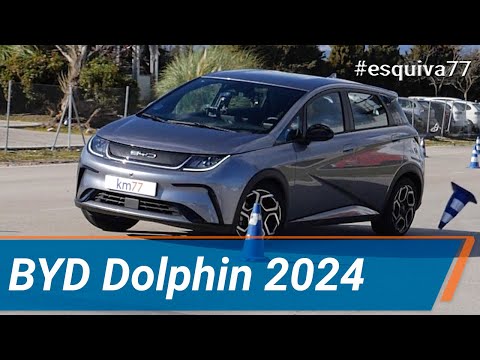 BYD Dolphin 2024 – Maniobra de esquiva (moose test) y eslalon | km77.com