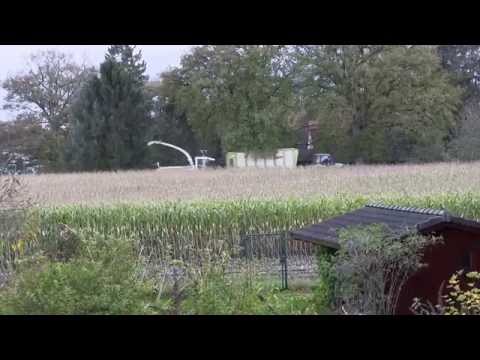 Lohnunternehmer häckselt Mais beim Nachbarn (2013)