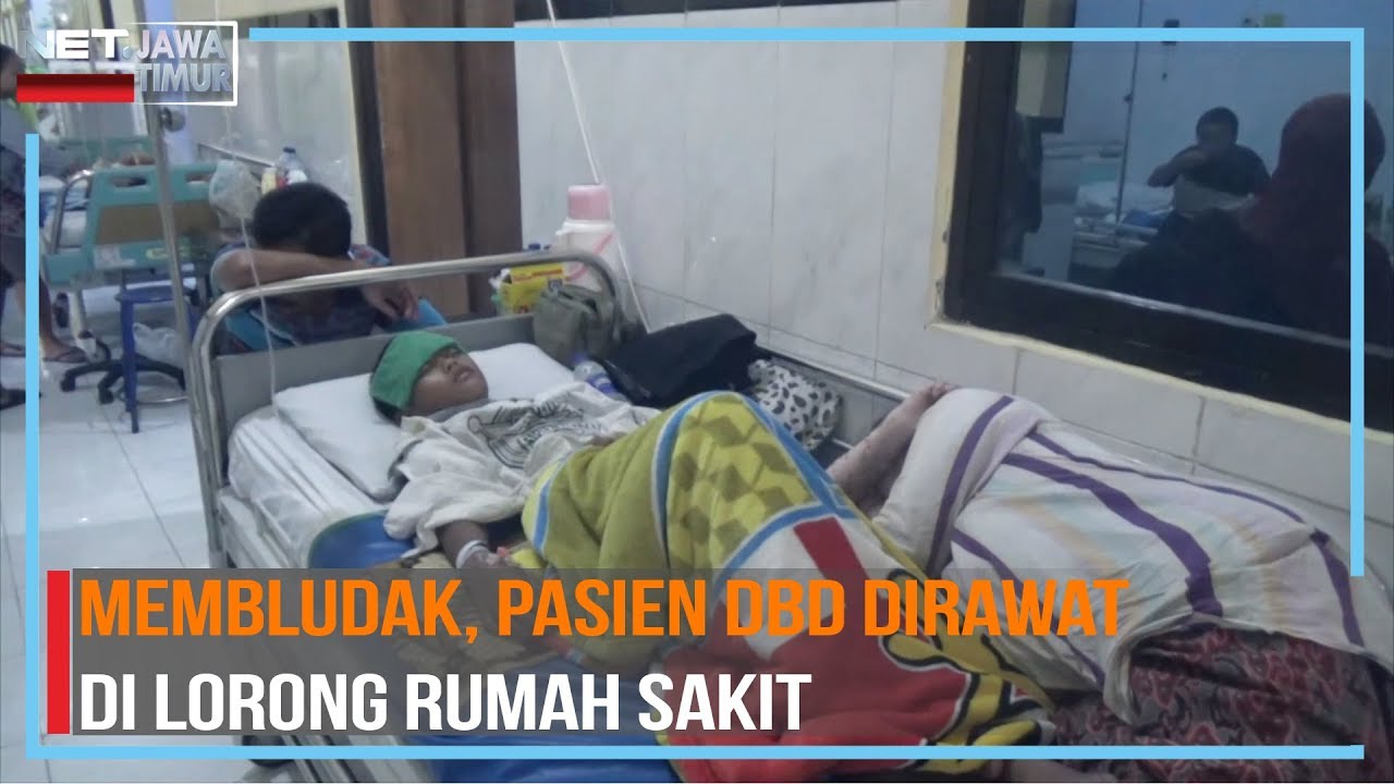 Pasien DBD di Jombang Terpaksa Dirawat di Lorong Rumah Sakit - NET. JATIM