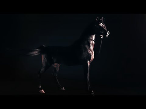 KIAHF 2023 - The Official Promo