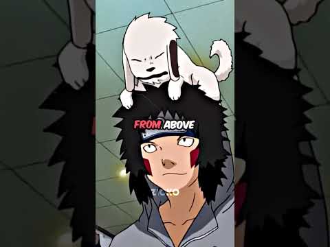 Participants who did not cheat during the Konoha chunin exam phase 1 🥷#naruto