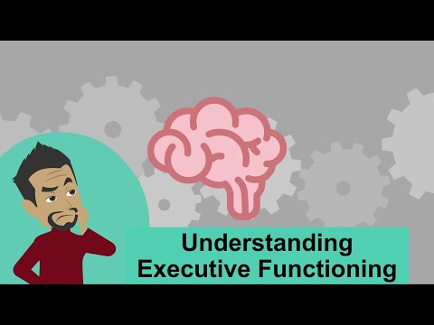 Understanding Executive Functioning