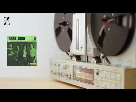 Sympathy - Rare bird