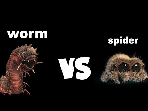 Worm vs Spider
