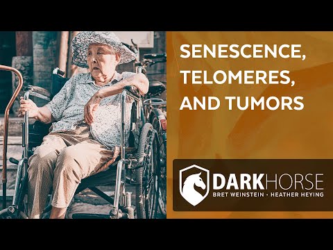 Why do we grow feeble with age? (from Livestream #188)