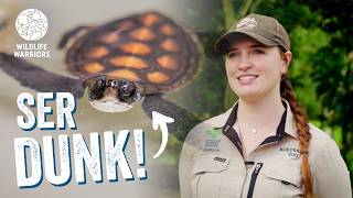 Dunk's Second Chance at Life! | Green Sea Turtle Hatchling Caught in Netting