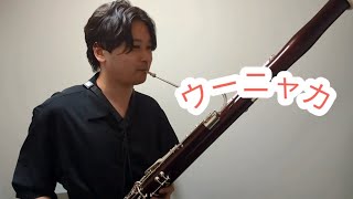 【ホロライブ/夏色まつり】技巧！？『ウーニャカ』吹いてみた！【ファゴット】