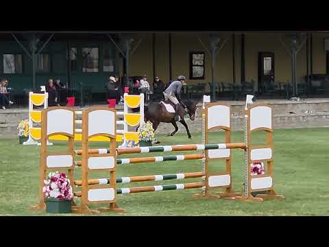 1.20m Spruce Meadows