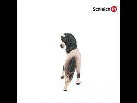 Schleich figūrėlė Andalūzas video
